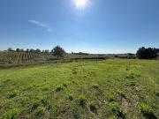 Terreno in vendita di 35000 m² in Strada Ghiacciuolo