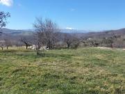 Terreno in vendita di 3500 m² in Contrada Taverna