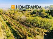 Terreno in vendita di 3500 m² in Via Ceraselle, 394