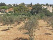 Terreno in vendita di 3500 m² in Via Stella