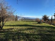 Terreno in vendita di 35430 m² in Via di Sarripoli e...