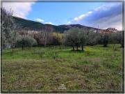 Terreno in vendita di 3545 m² in Via Roma, 67