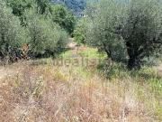 Terreno in vendita di 3570 m² in Via Val di Torbola