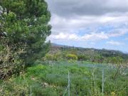 Terreno in vendita di 3591 m² in Via Pietralunga