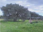 Terreno in vendita di 36 m² in Strada Statale 598 di...