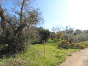 Terreno in vendita di 3595 m² in Contrada Vasapulli