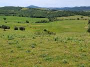 Terreno in vendita di 360000 m² in Strada Provinciale...