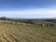 Terreno in vendita di 36000 m²