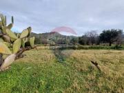 Terreno in vendita di 3600 m² in Contrada Carranco
