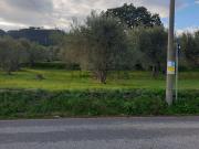 Terreno in vendita di 3600 m² in Strada STATALE SPARTA&apos