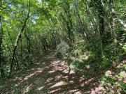 Terreno in vendita di 36180 m² in Località RUBIANA