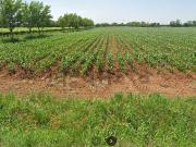 Terreno in vendita di 362000 m² in Via Storti