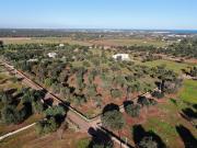 Terreno in vendita di 3782 m² in Contrada Morgicchio