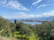 Terreno in vendita di 3800 m² in Via Vecchia Salita Cimitero