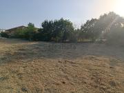 Terreno in vendita di 3820 m² in Via campo