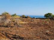 Terreno in vendita di 38300 m² in Strada Statale 16...