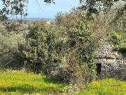 Terreno in vendita di 3854 m² in Strada Vicinale...