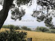 Terreno in vendita di 38570 m² in Contrada Selvotta