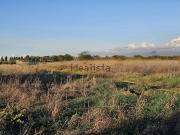 Terreno in vendita di 3885 m²