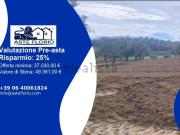 Terreno in vendita di 39390 m² in Contrada Farneto