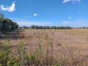 Terreno in vendita di 40000 m²