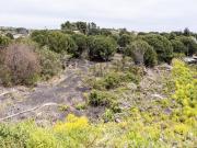 Terreno in vendita di 40000 m²