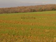 Terreno in vendita di 40000 m² in Strada Provinciale...