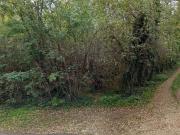 Terreno in vendita di 40000 m² in Via Stradone del Bosco