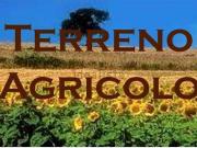 Terreno in vendita di 4000 m²