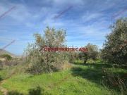 Terreno in vendita di 4000 m² in Contrada Burgio