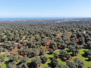 Terreno in vendita di 4000 m² in Contrada Cento Pezze