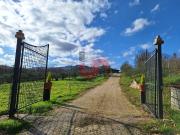 Terreno in vendita di 4000 m² in Contrada Montecalvo