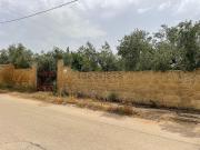 Terreno in vendita di 4000 m² in Contrada Principe