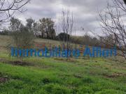 Terreno in vendita di 4000 m² in Via Torre Alfieri, 5