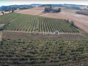 Terreno in vendita di 400 m²