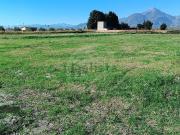 Terreno in vendita di 4033 m² in Via del Pantano, 9