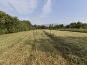 Terreno in vendita di 4192 m² in Via Bassanese