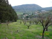 Terreno in vendita di 42000 m² in Contrada Sant&apos Onofrio