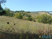 Terreno in vendita di 42000 m² in Strada STATALE NORD, 10