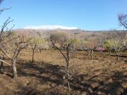 Terreno in vendita di 4200 m² in Via Tarderia