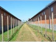 Terreno in vendita di 4210 m² in Calle dell&apos Orso