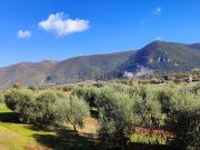 Terreno in vendita di 42500 m² in Strada dei Murelli