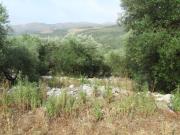 Terreno in vendita di 4270 m² in Via Vidimina