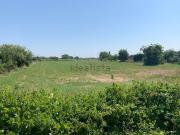 Terreno in vendita di 43000 m² in Via Pergola