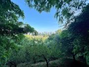 Terreno in vendita di 4330 m² in Via Castello, 23