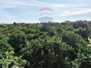 Terreno in vendita di 4383 m² in Via della Rinascita, 19