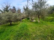 Terreno in vendita di 4400 m² in Via Nuova