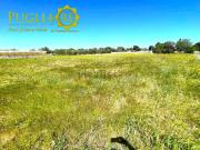 Terreno in vendita di 4412 m² in Contrada Purgatorio