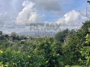 Terreno in vendita di 4427 m² in Via Ragogna, 13