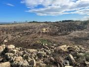 Terreno in vendita di 4432 m²